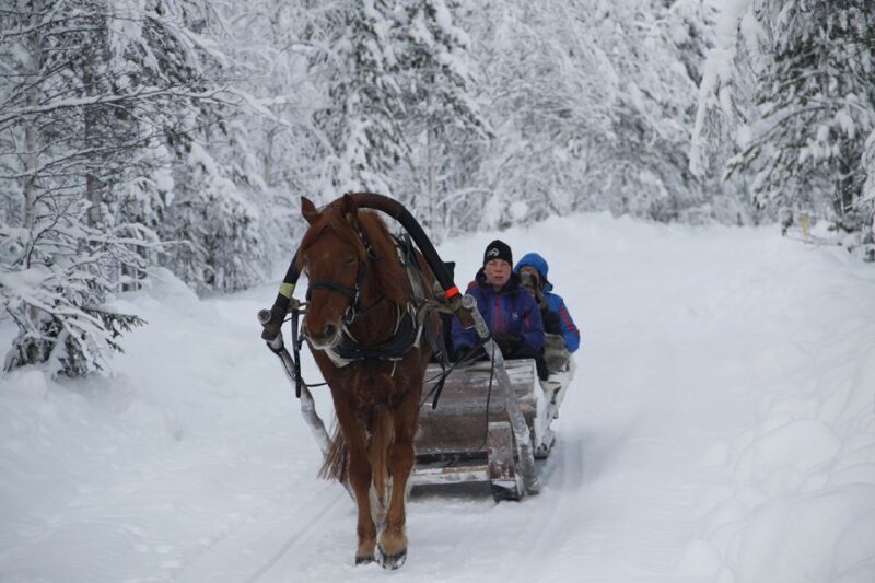 Levi: One Horse Open Sleigh Ride - Good To Know
