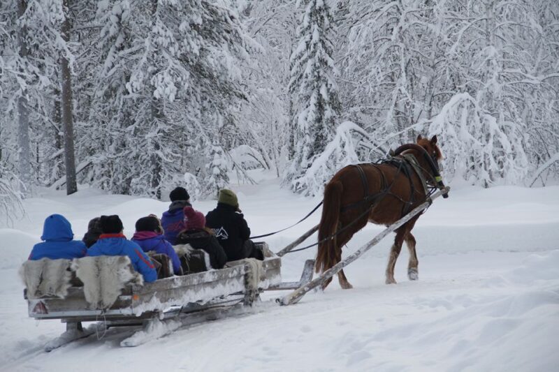 Levi: One Horse Open Sleigh Ride - Final Thoughts: Why This Tour Is Worth Considering