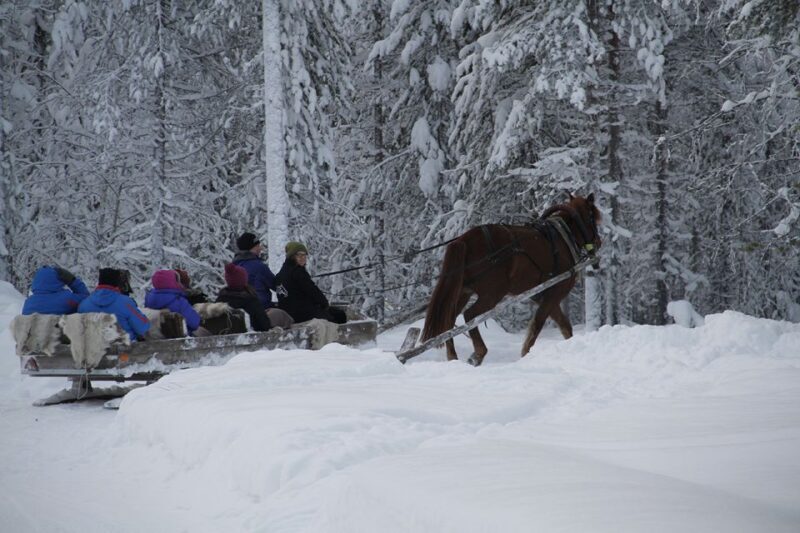 Levi: One Horse Open Sleigh Ride - FAQ