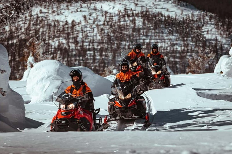Levi: One Hour Snowmobiling Experience - Who Should Book This Tour?