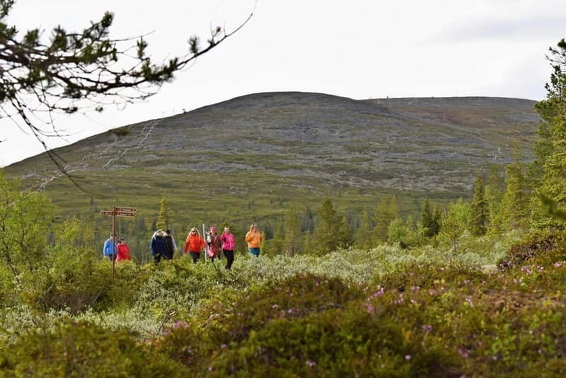 Levi: Pallas Panoramic Hike - Good To Know