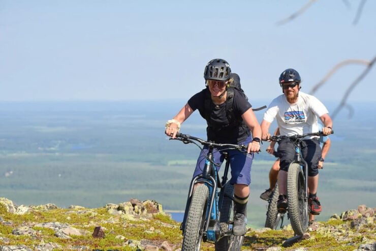 Levi: Pallastunturi National Park E-Fatbiking Tour - Pricing and Booking Details