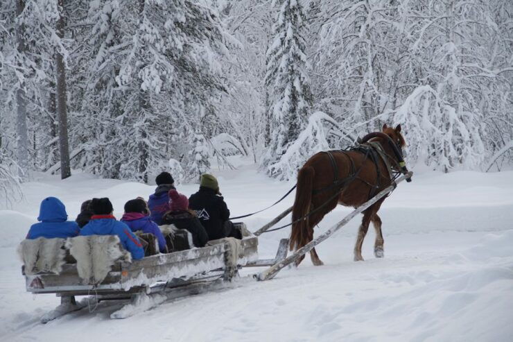 Levi, Polar Lights Tours: One Horse Open Sleigh Ride - Tour Details