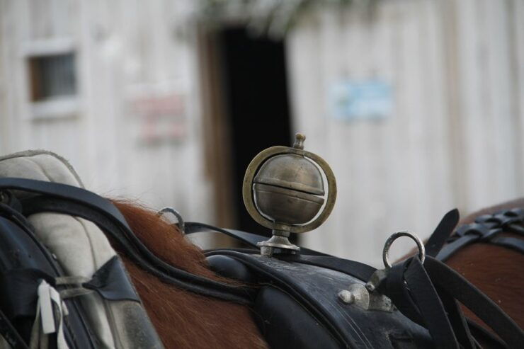 Levi, Polar Lights Tours: One Horse Open Sleigh Ride - Booking Process