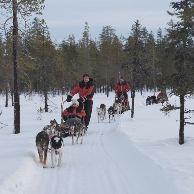 Levi Polar Lights Tours: Reindeer and Husky Safari - Tour Duration and Itinerary