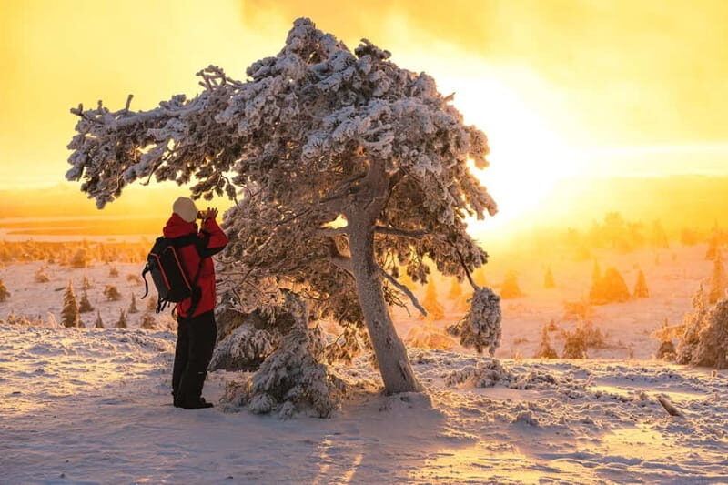 Levi: Private Photoshoot in Nature Location in Levi - Who Will Love This Tour?