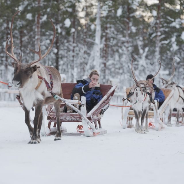 Levi: Reindeer and Husky Taster - Starting Point and Transportation
