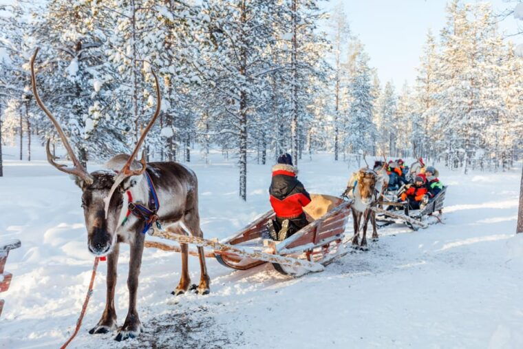 Levi: Reindeer Sleigh Ride Tour in Snowy Forest - Who Should Consider This Tour?