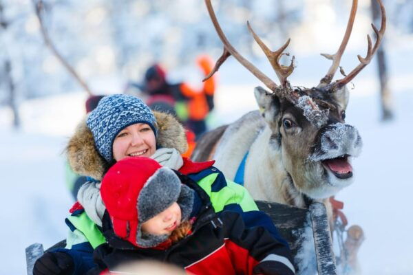 Levi: Reindeer Sleigh Ride Tour in Snowy Forest - Accessibility and Comfort