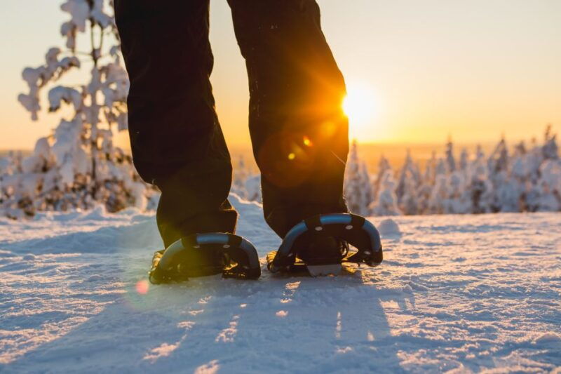 Levi: Scenic Levi Snowshoe Trip - Why This Tour Offers Great Value