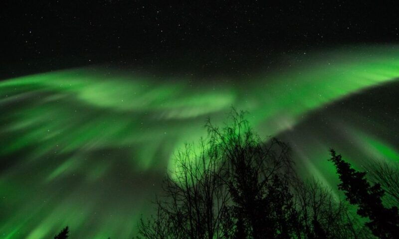 Levi: Search for Northern Lights in snowmobile sleigh - Levi: Search for Northern Lights in Snowmobile Sleigh