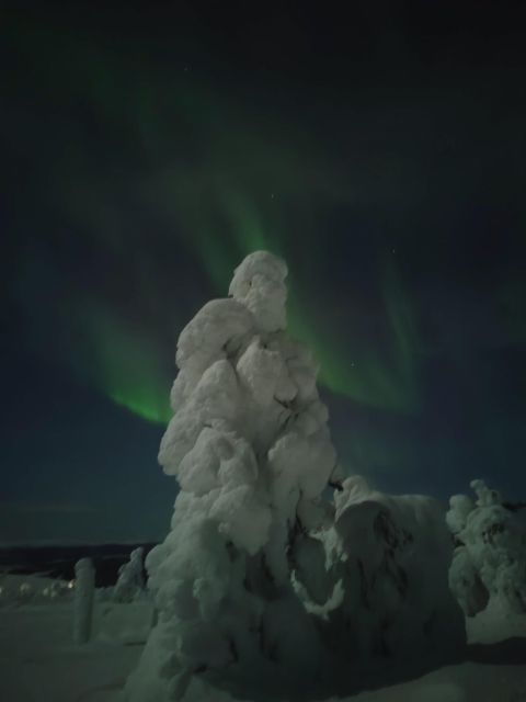 Levi: Search for Northern Lights in snowmobile sleigh - FAQs