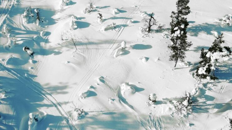 Levi: Snowshoe Adventure in the Wilderness - Booking Details