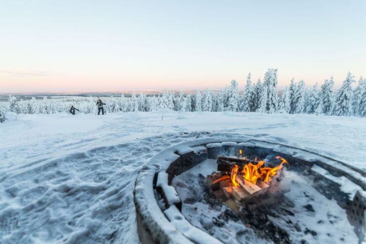Levi: Snowshoe Adventure in the Wilderness - Experience Highlights
