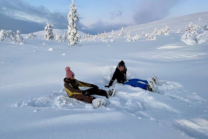 Levi: Snowshoeing adventure in the National Park - A Deep Dive into the Snowshoeing Tour Experience
