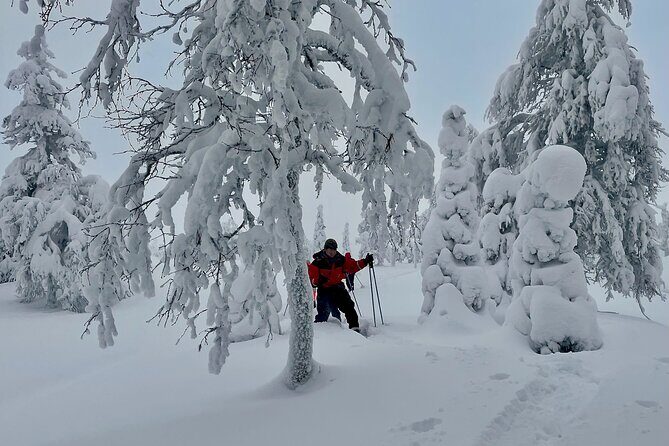 Levi: Snowshoeing adventure in the National Park - Who Should Book This Tour?