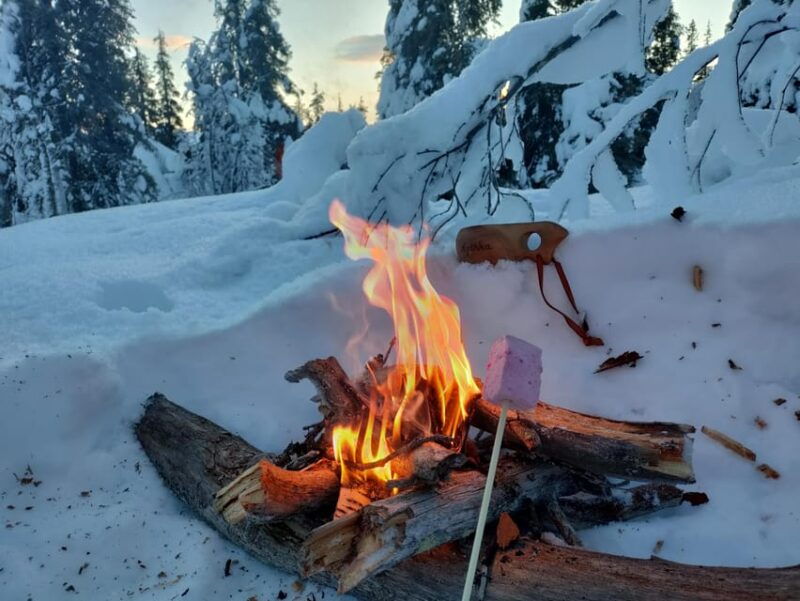 Levi: Snowshoeing and Marshmallow Grilling in the Snow - Good To Know