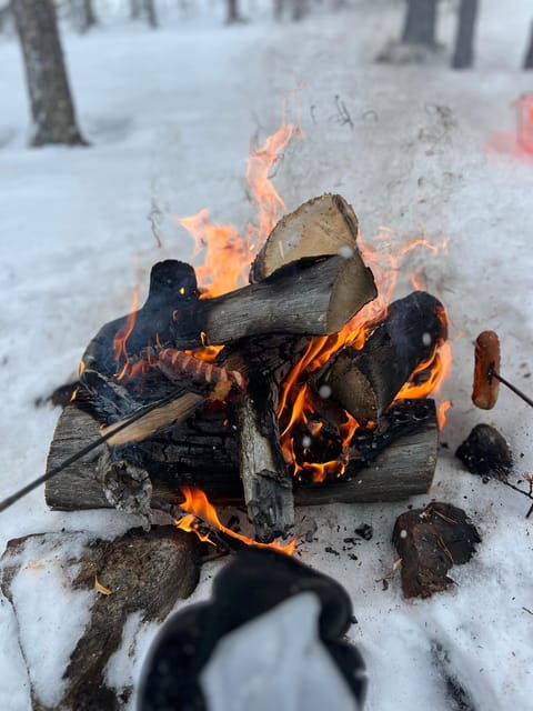 Levi: Snowshoeing and Reindeer Farm Visit - Good To Know