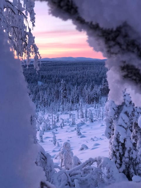 Levi: Snowshoeing and Reindeer Farm Visit - Booking Details