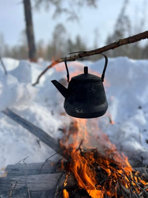 Levi: Snowshoeing and Reindeer Farm Visit - Group Size and Guide