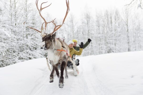 Levi: Traditional Reindeer Farm Visit & Sled Ride - Nearby Attractions and Activities
