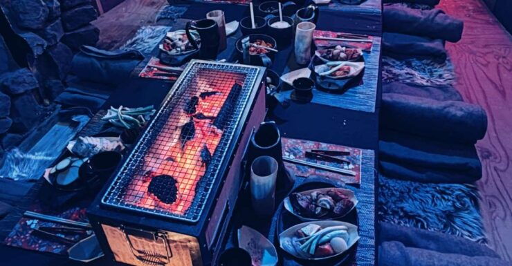 Levi: Unique Outdoor Arcandia Dinner - Experience Details
