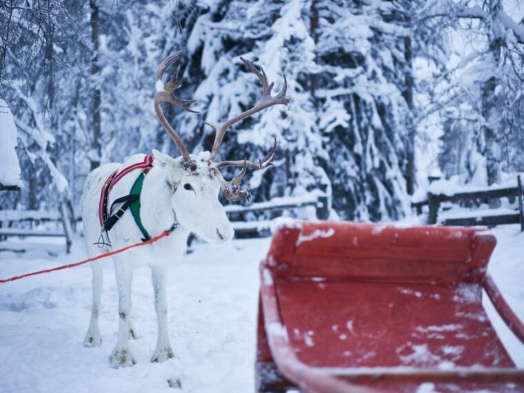 Levi: Winter Highlights Family Day - Is It Worth the Price?