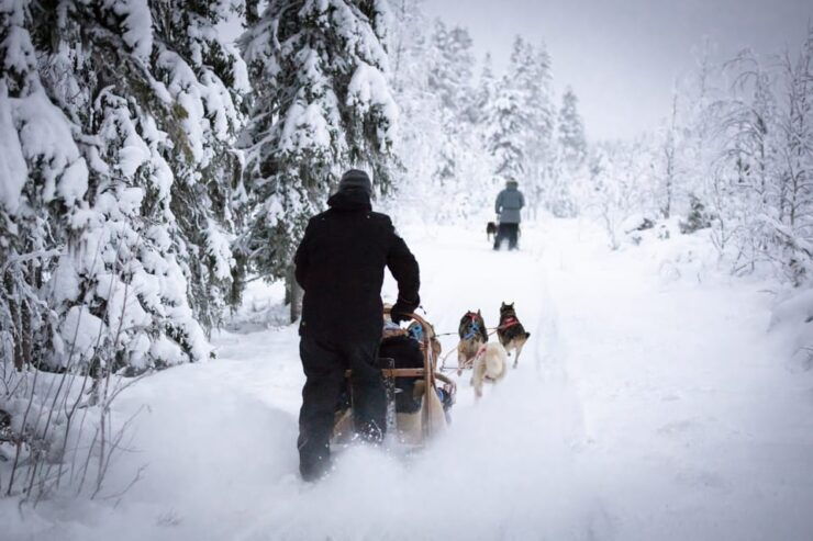 Levi: Winter Highlights Family Day - Pricing Details