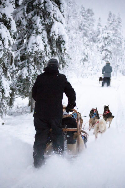 Levi: Winter Highlights Family Day - Tips for Participants