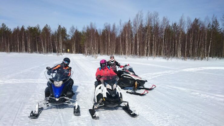 Levi: Winter Highlights Family Day With Snowmobile Safari - Activity Details