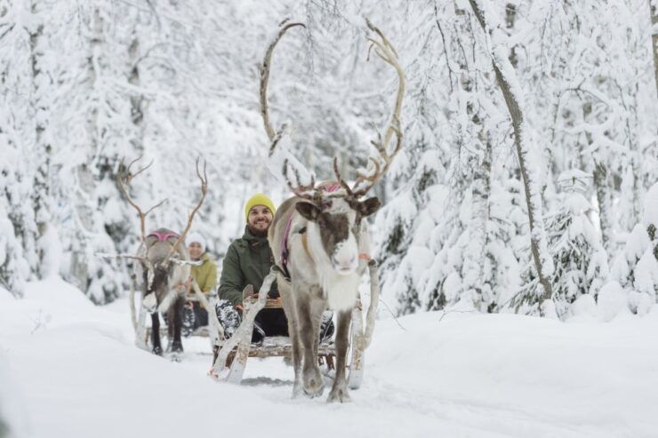 Levi: Winter Highlights Family Day With Snowmobile Safari - Booking Information