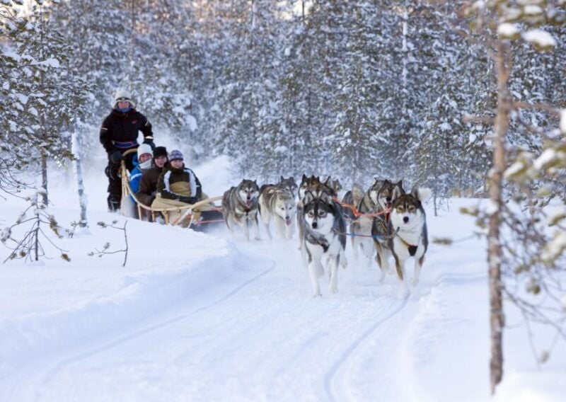 Levi: Winter Highlights Tour with Snowmobiling - Practical Details and Considerations
