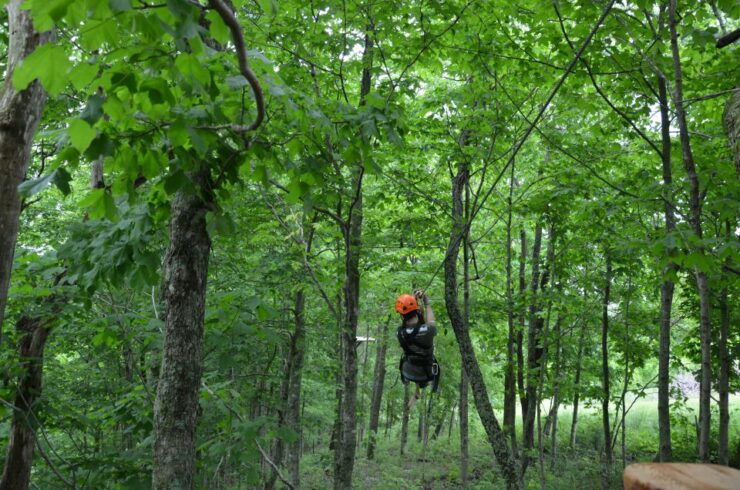 Lexington: Fully Guided Zipline Canopy Tour - Tour Details