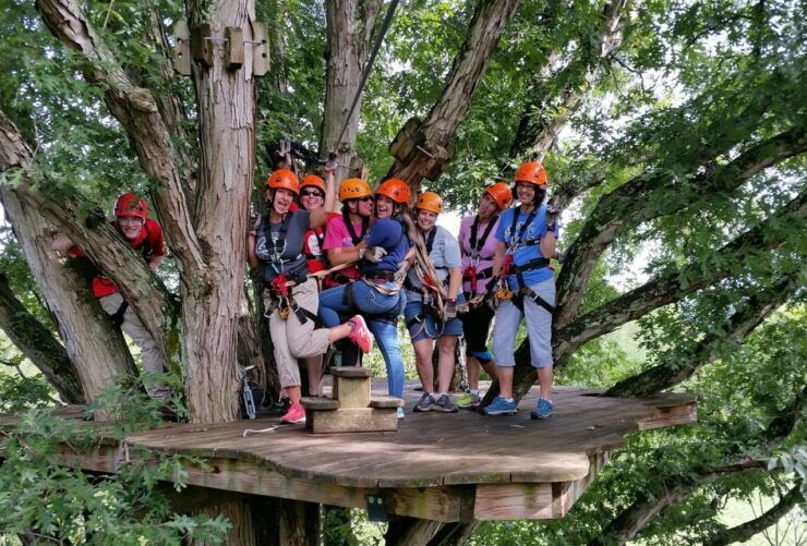 Lexington: Fully Guided Zipline Canopy Tour - Experience Highlights