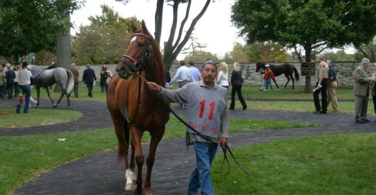 Lexington: Horse Farm Tour and Keeneland Race Track Visit - Explore Thoroughbred Horse Farm Insights