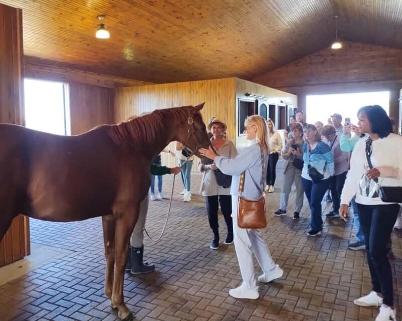 Lexington: Thoroughbred Horse Farm Tour and Scenic Bluegrass - Good To Know