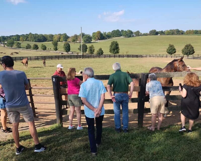 Lexington: Thoroughbred Horse Farm Tour and Scenic Bluegrass - Final Thoughts: Is It Worth It?