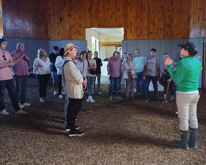 Lexington: Thoroughbred Horse Farm Tour and Scenic Bluegrass - FAQ