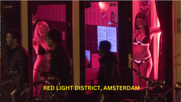 LGBTQ Amsterdam Private City Walk Tour - Frequently Asked Questions