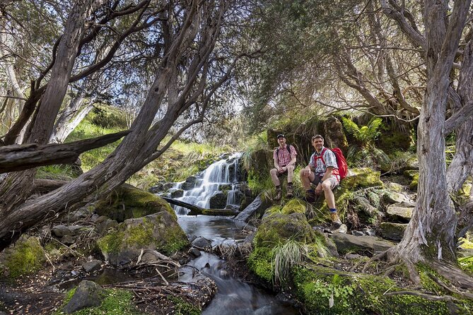 LGBTQ Friendly 2 Day Private Great Ocean Road Tour - Traveler Photos and Reviews