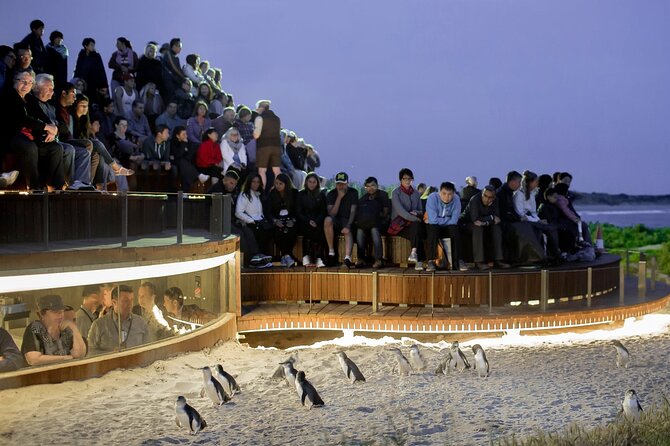 LGBTQ Friendly Full Day Phillip Island Private Tour - Tour Options