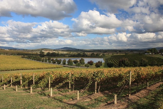LGBTQ Friendly Full Day Yarra Valley & Dandenong Ranges Private Tour - Common Questions