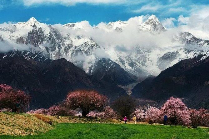 Lhasa Private Arrival Transfer: Airport to Hotel - What to Expect from the Transfer