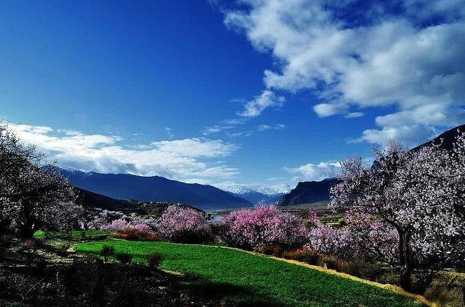 Lhasa Private Arrival Transfer: Airport to Hotel - Who Should Consider This Transfer?