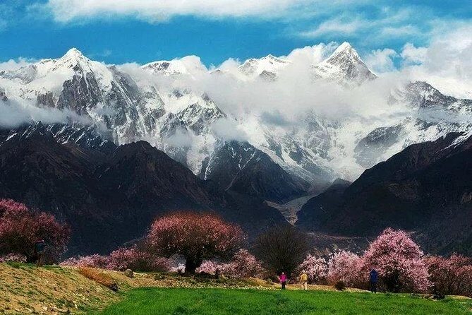 Lhasa Private Arrival Transfer: Railway Station to Hotel - FAQs