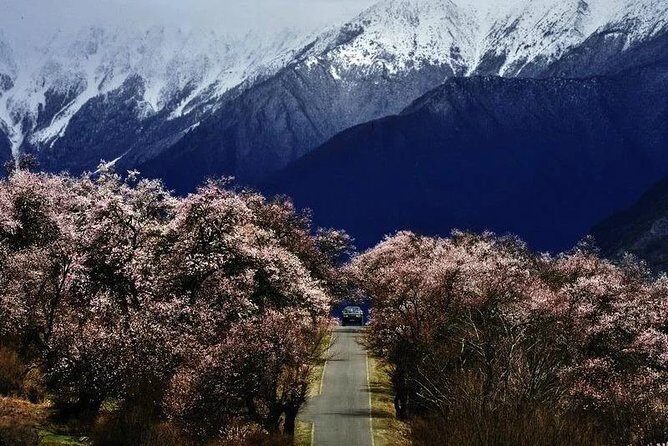 Lhasa Private Arrival Transfer: Railway Station to Hotel - The Booking Process and How It Works  