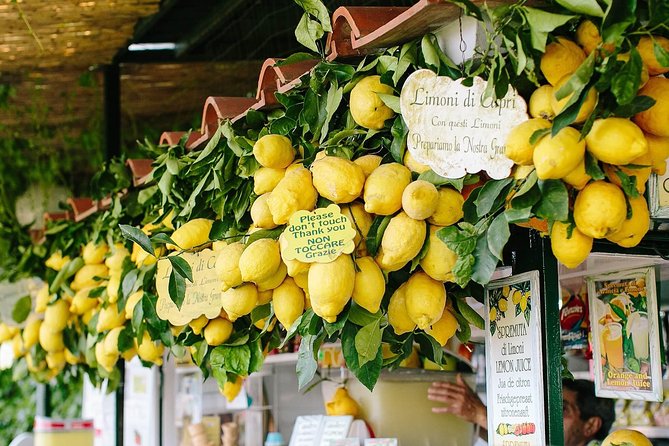 Li Galli Islands and Capri Boat Tour From Amalfi - Tour Guide, Route, Boat and Crew, Time in Capri, and Overall Experience