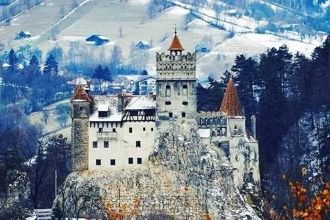 Libearty Brown Bear Sanctuary, Rasnov Fortress, Bran Castle Day Tour From Brasov - Itinerary Highlights