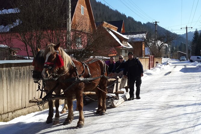 Libearty Brown Bear Sanctuary, Rasnov Fortress, Bran Castle Day Tour From Brasov - Customer Reviews