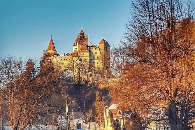Libearty Brown Bear Sanctuary, Rasnov Fortress, Bran Castle Day Tour From Brasov - Frequently Asked Questions